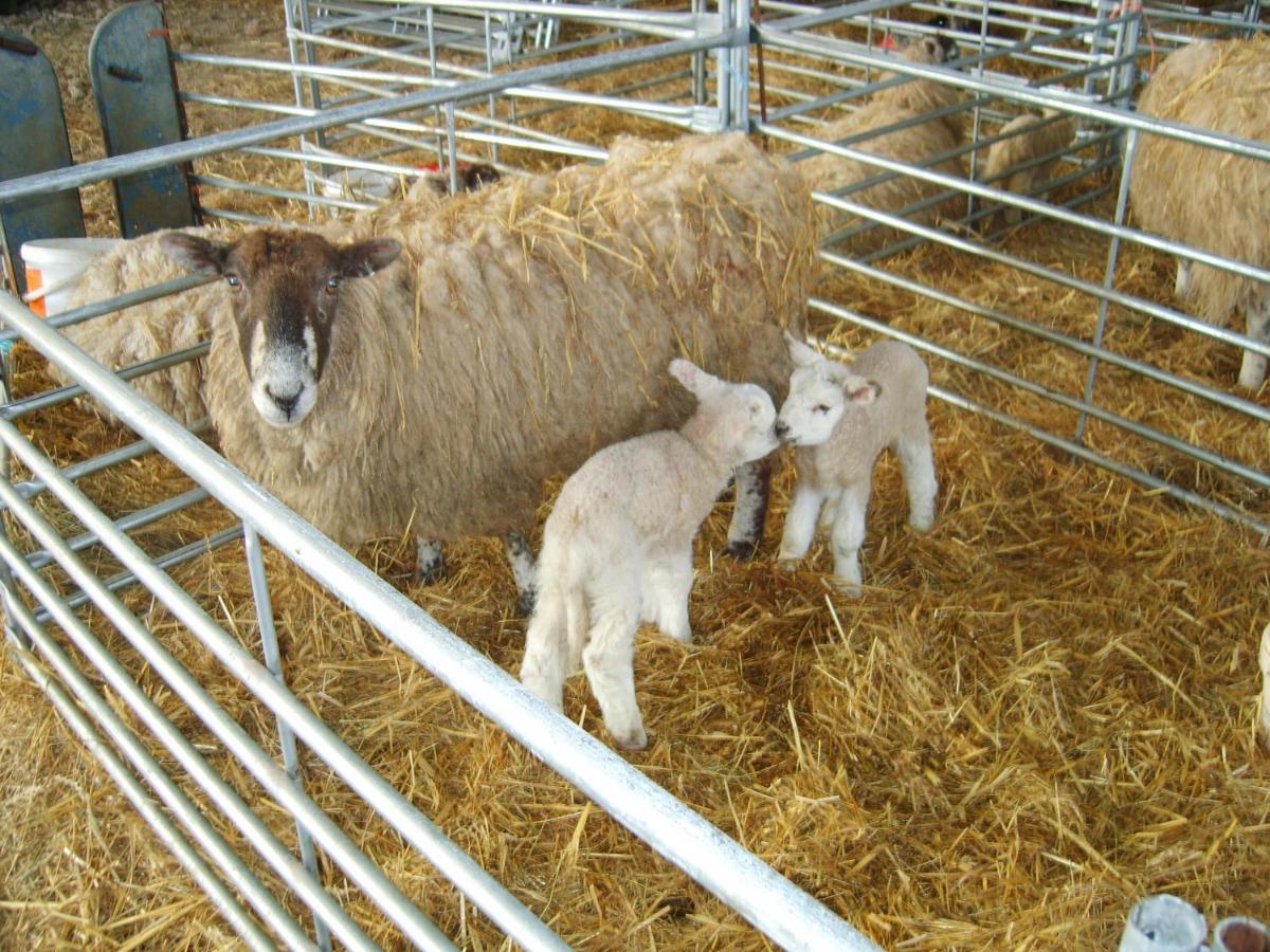 Church Farm Στράτφορντ απόν Έιβον Εξωτερικό φωτογραφία