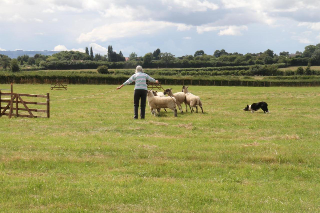 Church Farm Στράτφορντ απόν Έιβον Εξωτερικό φωτογραφία