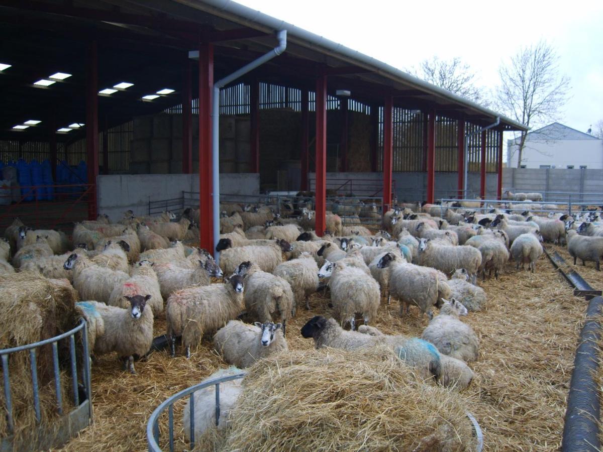 Church Farm Στράτφορντ απόν Έιβον Εξωτερικό φωτογραφία